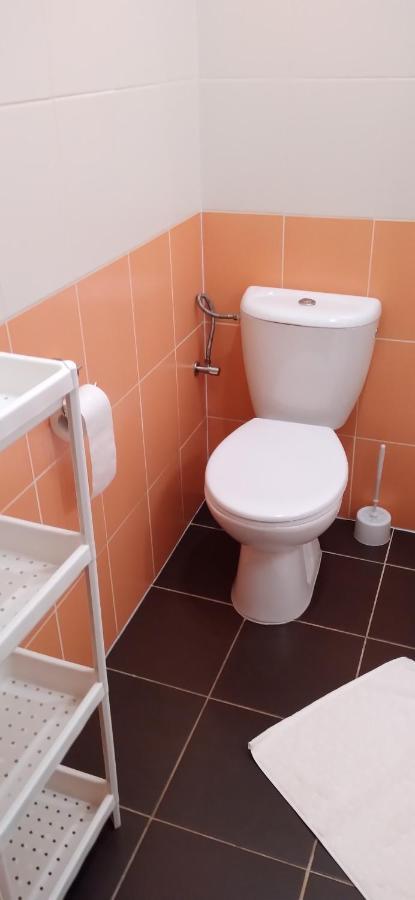 Apartmany Sramek Stříbro エクステリア 写真