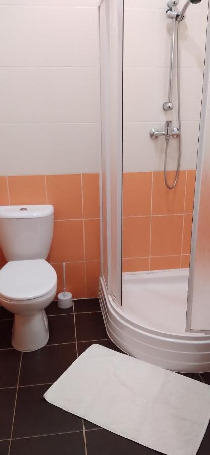 Apartmany Sramek Stříbro エクステリア 写真