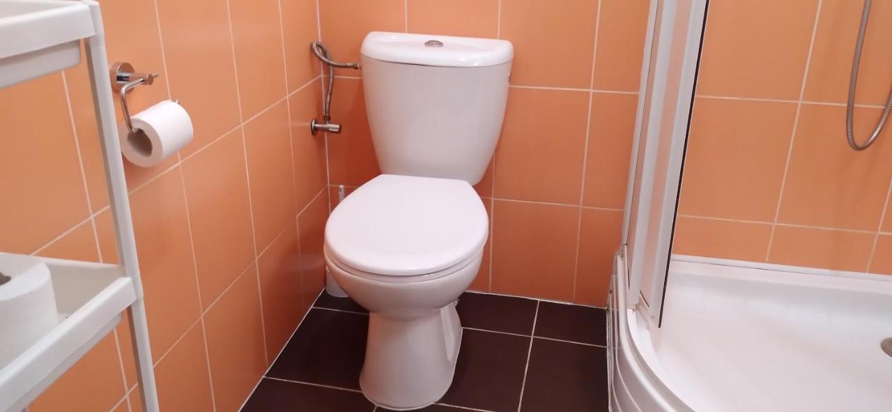 Apartmany Sramek Stříbro エクステリア 写真