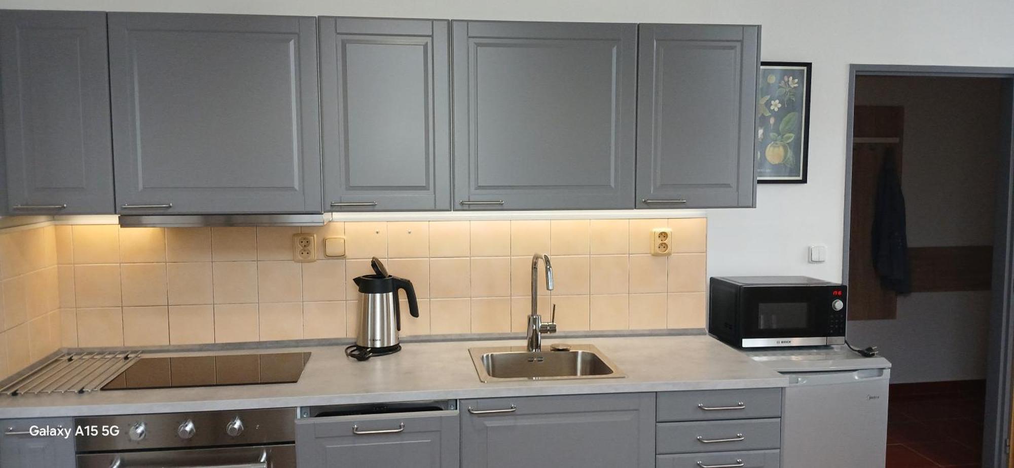 Apartmany Sramek Stříbro エクステリア 写真