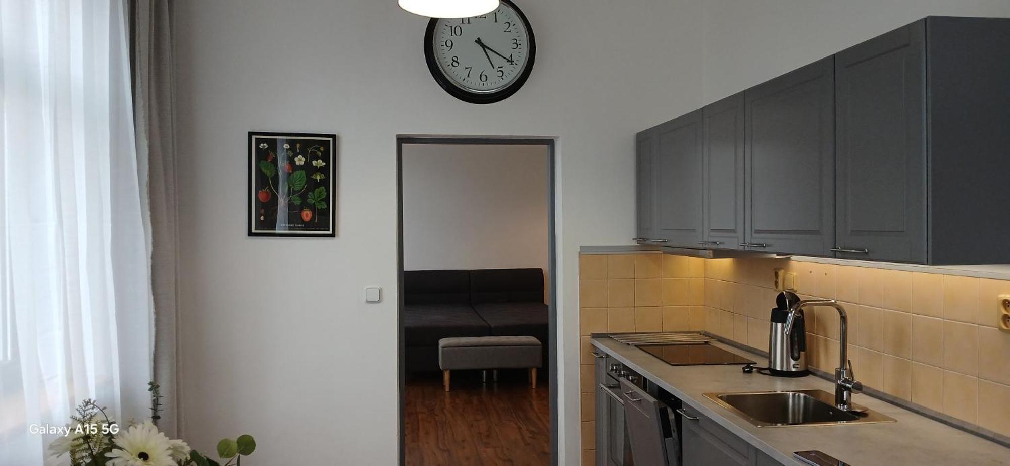 Apartmany Sramek Stříbro エクステリア 写真